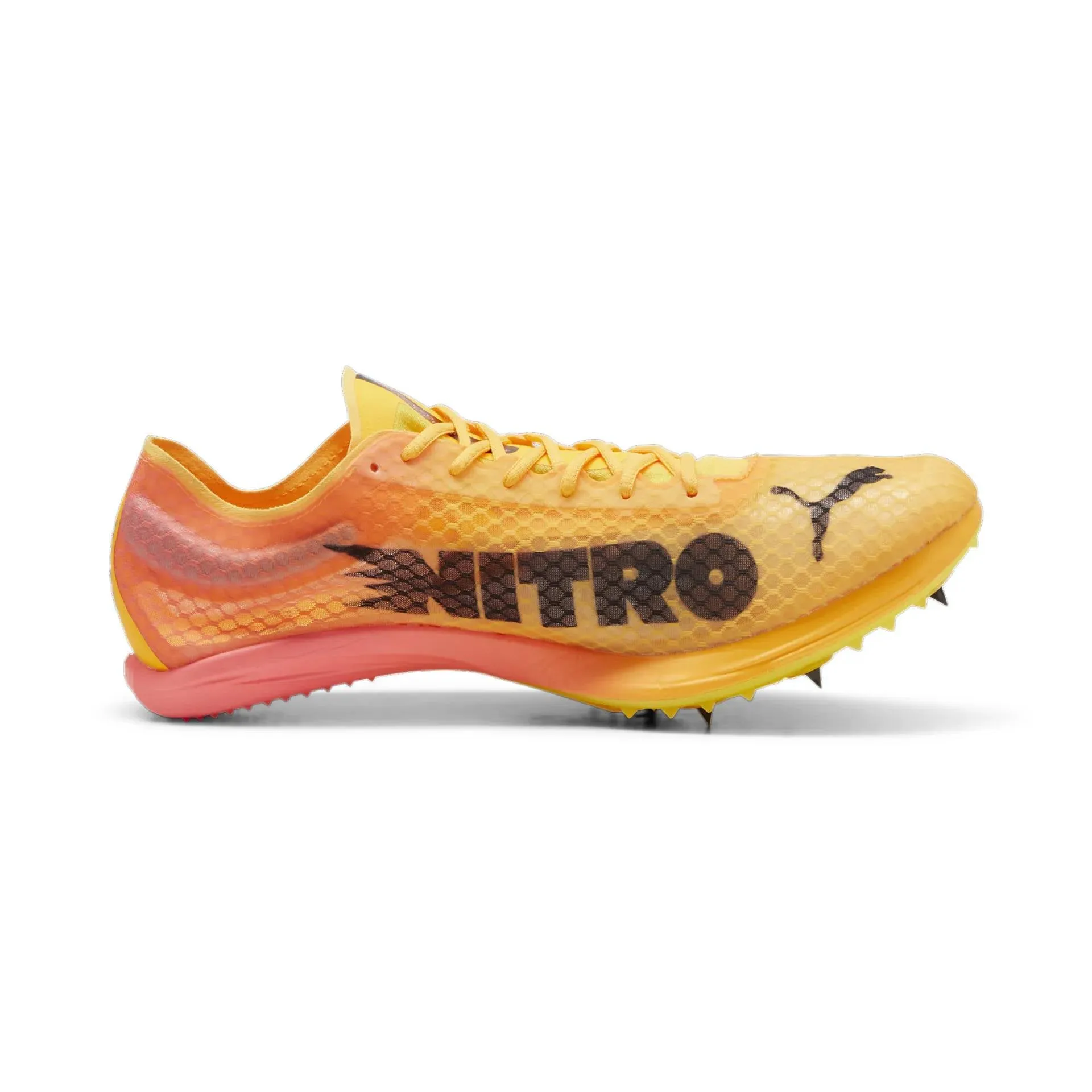 Puma evoSPEED Distance Nitro Elite 4  - Orange