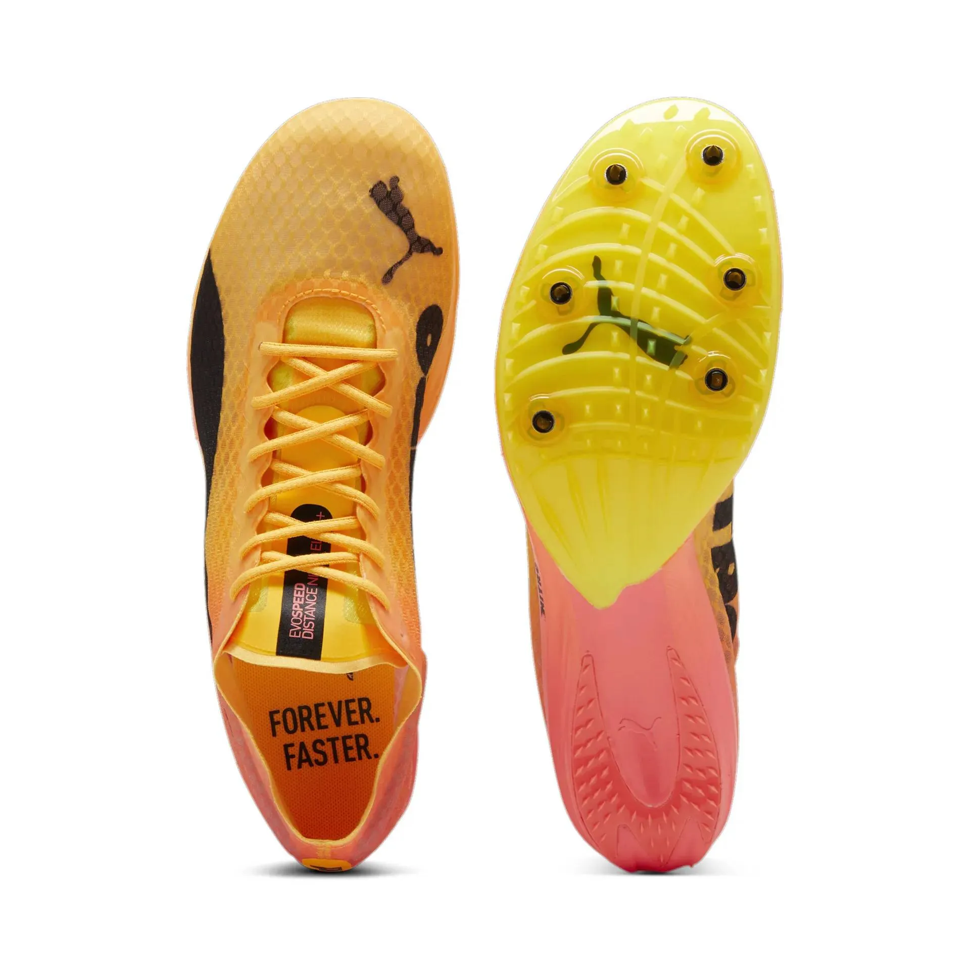 Puma evoSPEED Distance Nitro Elite 4  - Orange