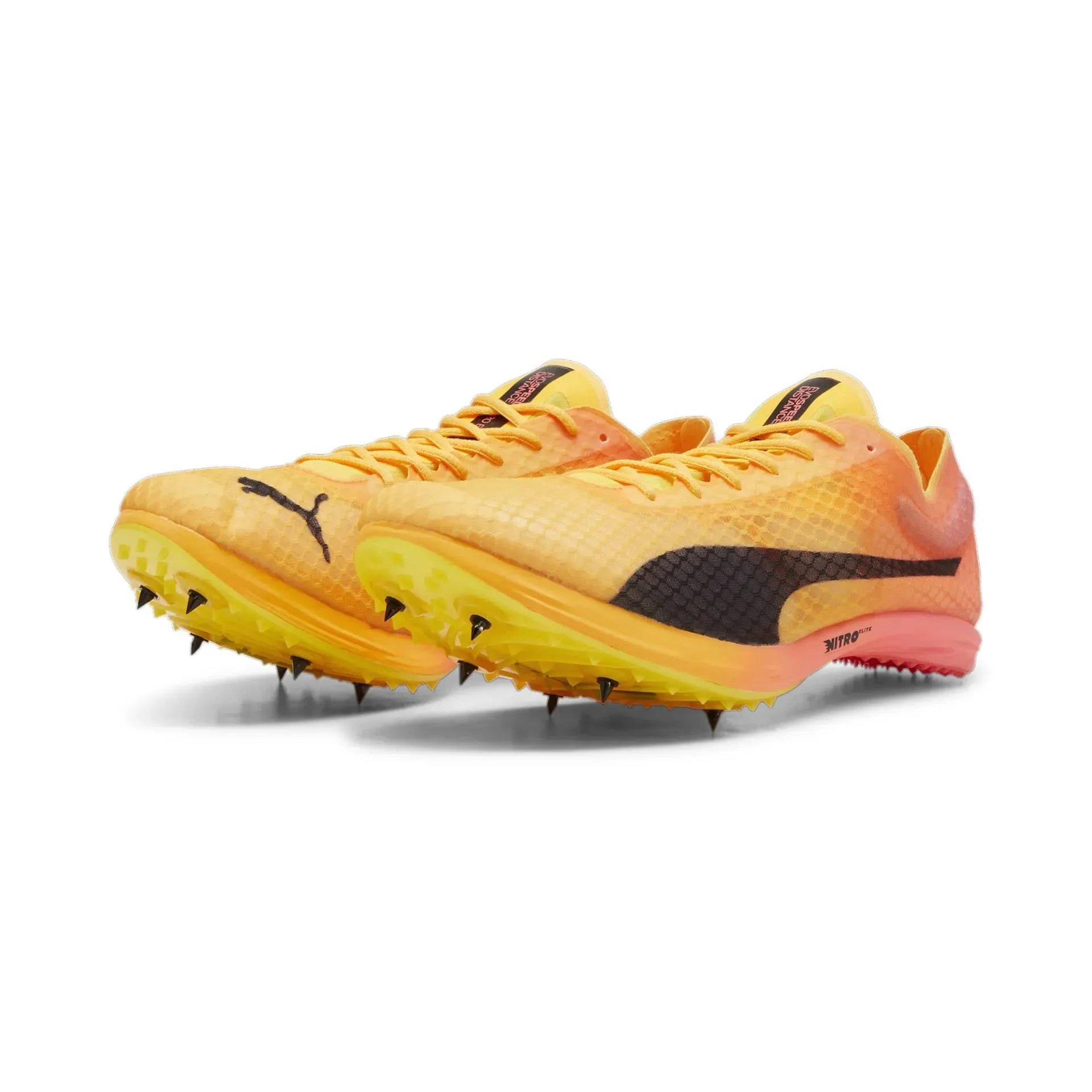 Puma evoSPEED Distance Nitro Elite 4  - Orange