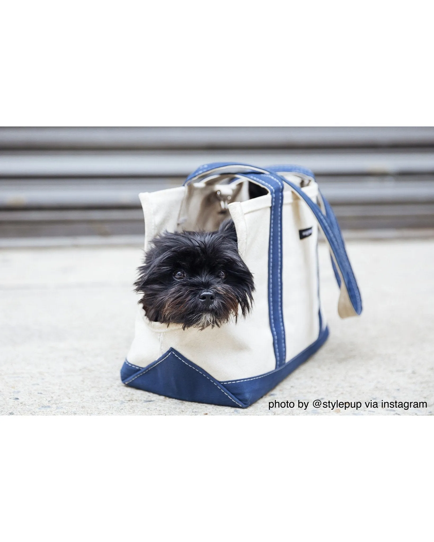 Wagwear Boat Canvas Carrier - Classic